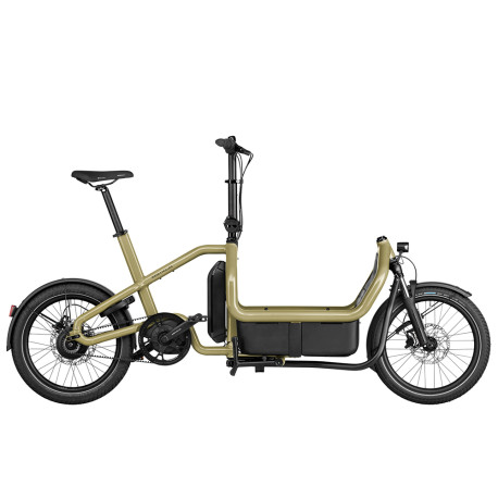 Vélo cargo électrique Riese & Müller Carrie Vario Vélo cargo électrique Riese & Müller Carrie Vario